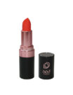 Dido Creamy Lipstick New