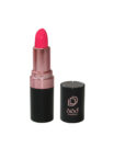 Dido Creamy Lipstick New