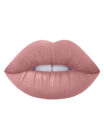 Dido Fleshy Lips Matte Jumbo Lip Pencil