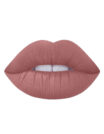 Dido Fleshy Lips Matte Jumbo Lip Pencil