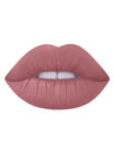 Dido Fleshy Lips Matte Jumbo Lip Pencil