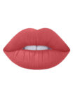 Dido Fleshy Lips Matte Lip Pencil No 12