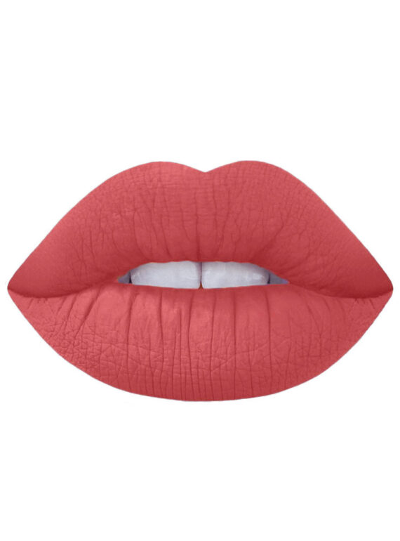 Dido Fleshy Lips Matte Lip Pencil No 12