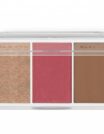 Grigi Pro Multi Palette Trio No 01 Coral Paradise