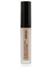 Grigi Ultra Pro Covering Liquid Concealer